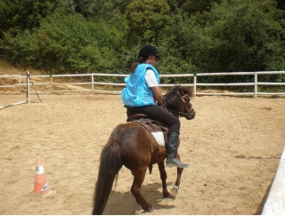 Aprendiendo en poni